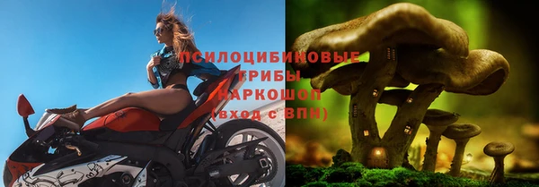 альфа пвп Вяземский
