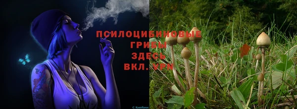 хмурый Вязьма